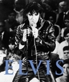 ELVIS