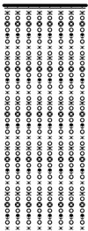T�RVORHANG PIRATEN TOTENKOPF