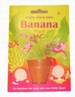 8 x BANANA PLANT