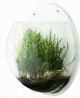 5 x SYNTHETIKPARK WANDVASE
