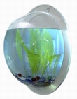 11 x SYNTHETIKPARK WANDAQUARIUM