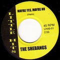 1 x SHEBANGS - MAYBE YES, MAYBE NO