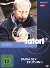 TATORT - BAUM DER ERLÖSUNG - DVD - Thriller & Krimi