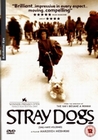 STRAY DOGS