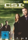 CSI - SEASON 5 [6 DVDS] - DVD - Thriller & Krimi