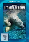 ULTIMATE WILDLIFE VOL. 2 - B�REN & HUNDE