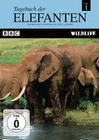 TAGEBUCH DER ELEFANTEN 1 - DVD - Tiere