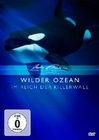 WILDER OZEAN - IM REICH DER KILLERWALE - DVD - Tiere