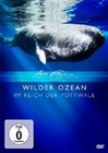 WILDER OZEAN - IM REICH DER POTTWALE - DVD - Tiere