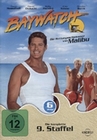 BAYWATCH - 9. STAFFEL [6 DVDS] - DVD - Unterhaltung