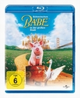 SCHWEINCHEN BABE IN DER GROSSEN STADT - BLU-RAY - Komödie