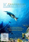 FASZINATION KORALLENRIFF - DVD - Tiere