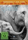 WUNDERWELT DER TIERE - ELEFANTEN - DVD - Tiere