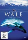 WALE - TIERE HAUTNAH - DVD - Tiere