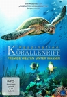 FASZINATION KORALLENRIFF - FREMDE WELTEN UNTER.. - DVD - Tiere
