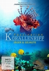 FASZINATION KORALLENRIFF - JÄGER & GEJAGTE - DVD - Tiere