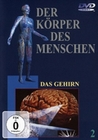 DER KÖRPER DES MENSCHEN 2 - DVD - Mensch