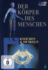 DER KÖRPER DES MENSCHEN 6 - DVD - Mensch