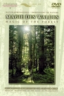 MAGIE DES WALDES - DVD - Impressionen