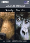 WILDLIFE SPECIALS - GRIZZLYS/GORILLAS - DVD - Tiere