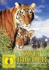 ZWEI BRÜDER - DVD - Abenteuer