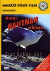 DAS LEBEN DER M�WEN