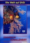 LEBENSRAUM KORALLENRIFF - DVD - Tiere