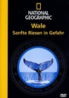WALE - SANFTE RIESEN IN GEFAHR - NATIONAL GEOGR. - DVD - Tiere