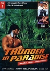 THUNDER IN PARADISE VOL. 1 - DVD - Action
