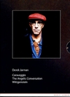 DEREK JARMAN BOX (OMU) [3 DVDS] - DVD - Gay