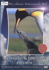 ANTARKTIS & PINGUINE ERLEBEN - DVD - Tiere