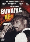 BURNING UP - 16 URBAN CLASSICS - DVD - Musik