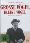 GROSSE VÖGEL, KLEINE VÖGEL - DVD - Unterhaltung