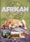 AFRICAN WILDLIFE & LANDSCAPES