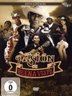 PASION DE BUENA VISTA - DVD - Musik