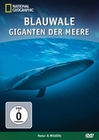 BLAUWALE - GIGANTEN DER MEERE - NAT. GEOGRAPHIC - DVD - Tiere