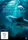 DOLPHINS IN THE DEEP BLUE OCEAN - DVD - Tiere