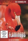 FLAMINGOS - DVD - Tiere