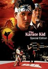 KARATE KID SPECIAL EDITION - DVD - Family Entertainment