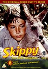 SKIPPY THE BUSH KANGAROO VOL.4 - DVD - Childrens Television