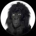 GORILLA MASKE - AFFENMASKE