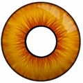 TERROR EYES VAMPIRE - Karneval - Kontaktlinsen