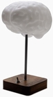 BRAIN LAMP