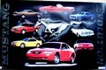 FORD MUSTANG - EVOLUTION - Plakate - Classic - US-Cars