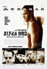 ALPHA DOG - Filmplakate