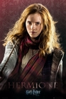 HARRY POTTER - Filmplakate