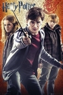 HARRY POTTER POSTER UND DIE HEILIGTÜMER DES TODES 7 POSTER - Filmplakate