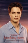 TWILIGHT BREAKING DAWN POSTER PART 1 EDWARD - Filmplakate