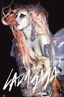 LADY GAGA POSTER GRUNGE ORANGE - Musikposter